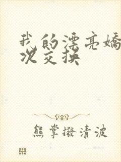 我的漂亮娇妻初次交换