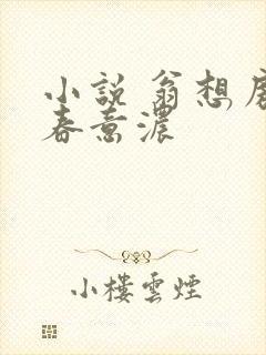 小说 翁想房中春意浓