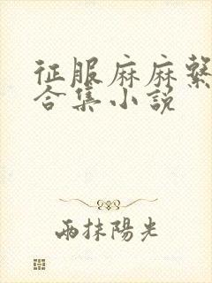 征服麻麻系列大合集小说