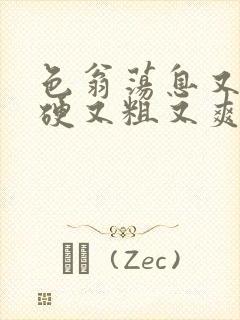 色翁荡息又大又硬又粗又爽