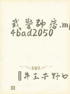 武警帅痞.mp4bad2050