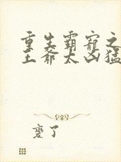 重生霸宠之摄政王爷太凶猛