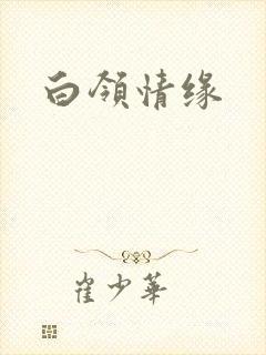 白领情缘