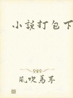 小说打包下载