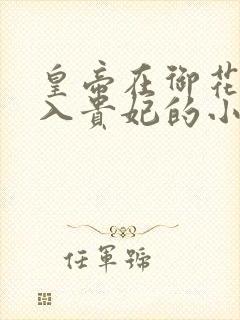 皇帝在御花园进入贵妃的小说