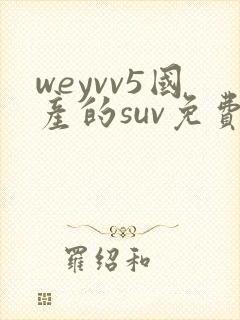 weyvv5国产的suv免费