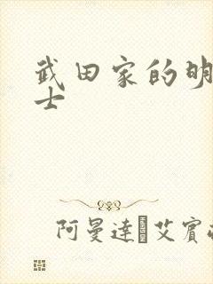 武田家的明国武士