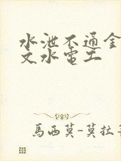 水泄不通金银原文水电工