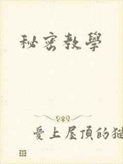 秘密教学