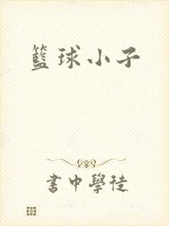 篮球小子