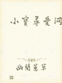 小宝寻爱网
