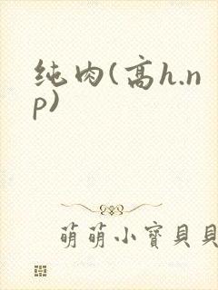 纯肉(高h.np)