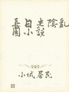 长日光阴乱作一团小说