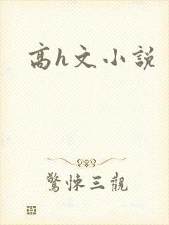 高h文小说