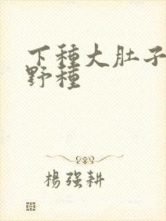 下种大肚子怀孕野种