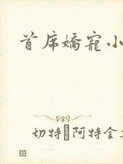 首席娇宠小情人