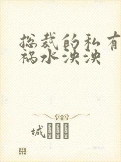 总裁的私有宝贝祸水泱泱