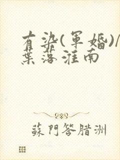 有染(军婚)/叶落淮南