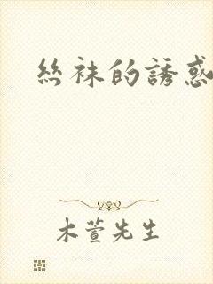 丝袜的诱惑小说