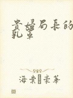 贵妇局长的蕾丝乳罩