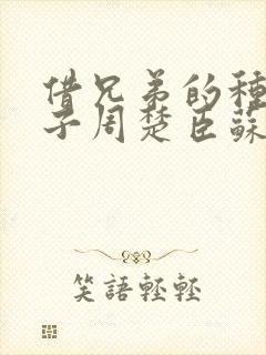 借兄弟的种生孩子周楚臣苏糖