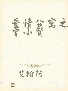 爱情公寓之极品曾小贤