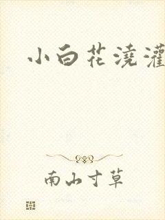 小白花浇灌日常