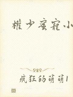 权少蜜宠小娇妻