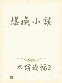 爆操小说