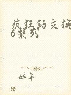 疯狂的交换1一6系列