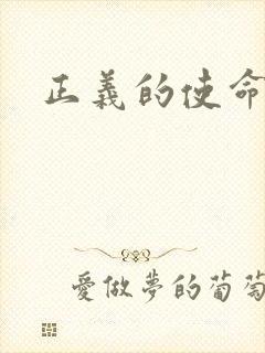 正义的使命小说