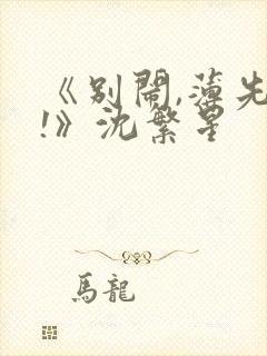 《别闹,薄先生!》沈繁星