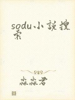 sodu小说搜索