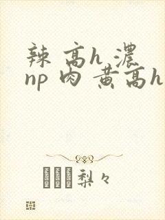 辣 高h 浓 np 肉 黄高h