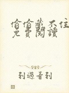 偷偷藏不住小说免费阅读