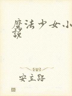 魔法少女小圆小说