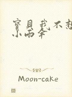 宝贝 我不想带小雨伞