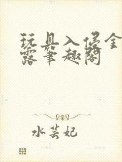 玩具入侵金银花露笔趣阁