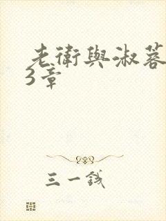 老卫与淑蓉第13章