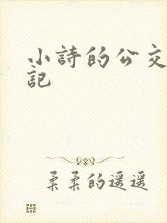 小诗的公交车日记