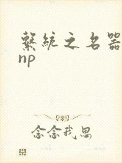 系统之名器攻略np