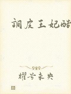 调皮王妃酷王爷