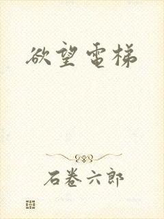欲望电梯