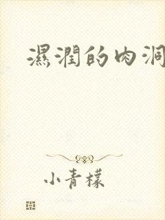 湿润的肉洞