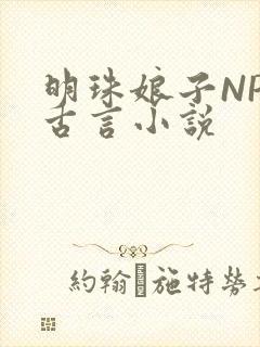 明珠娘子NPC古言小说