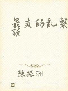 最爽的乱系列小说