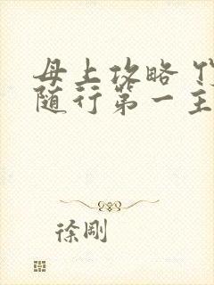 母上攻略 竹影随行第一主板