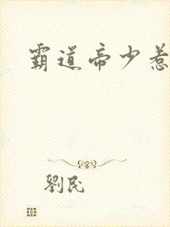 霸道帝少惹不得