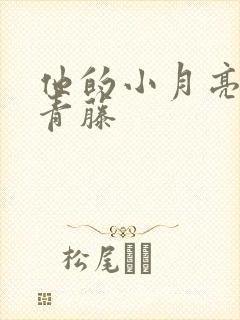 他的小月亮by青藤