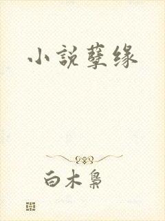 小说孽缘
